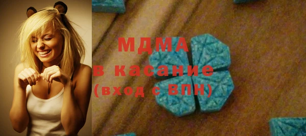 прущие грибы Елабуга