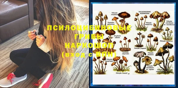 Альфа ПВП Нязепетровск