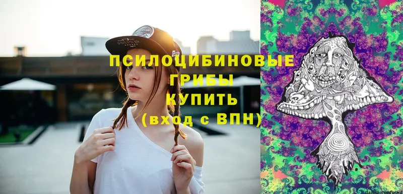 купить закладку  Кодинск  Галлюциногенные грибы MAGIC MUSHROOMS 