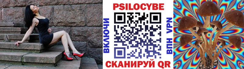 Псилоцибиновые грибы прущие грибы  кракен ссылки  Кодинск 